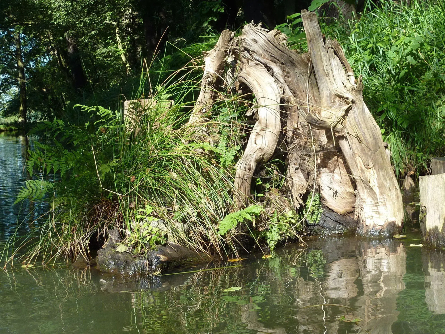 Spreewald - Pension Spreeaue