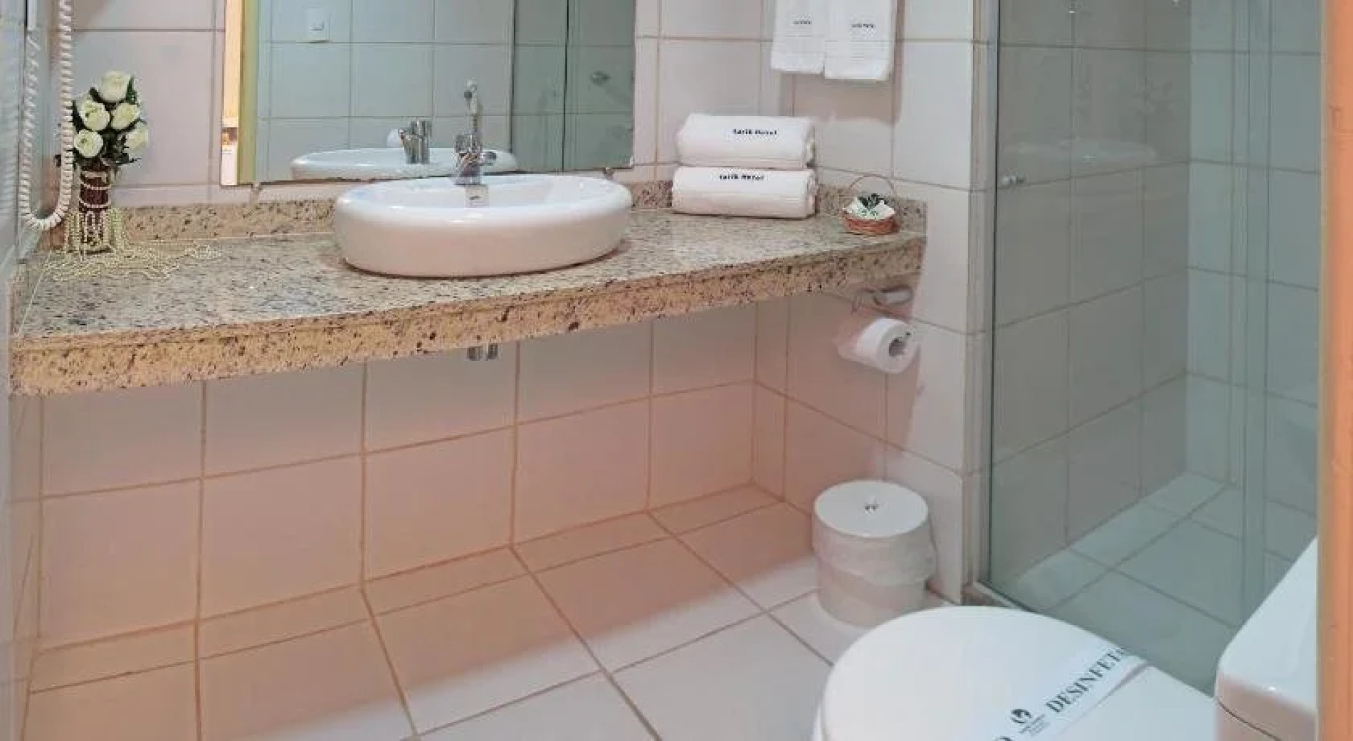 Tarik Fontes Plaza Hotel