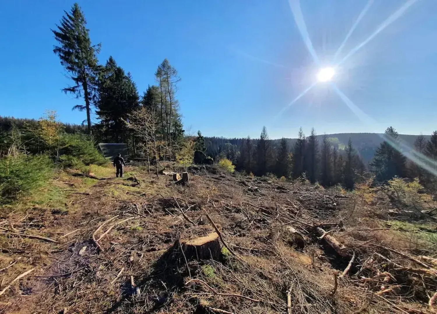 Ferienhaus in Masserberg