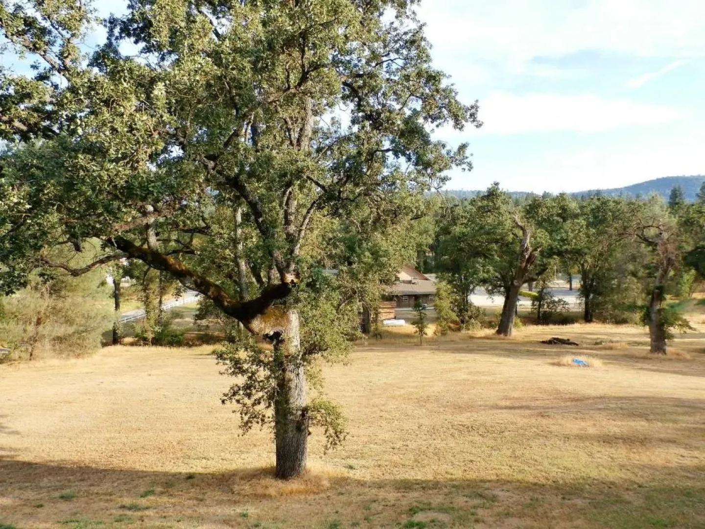 New Charming 2 Bedrooms Unit Close To Everything