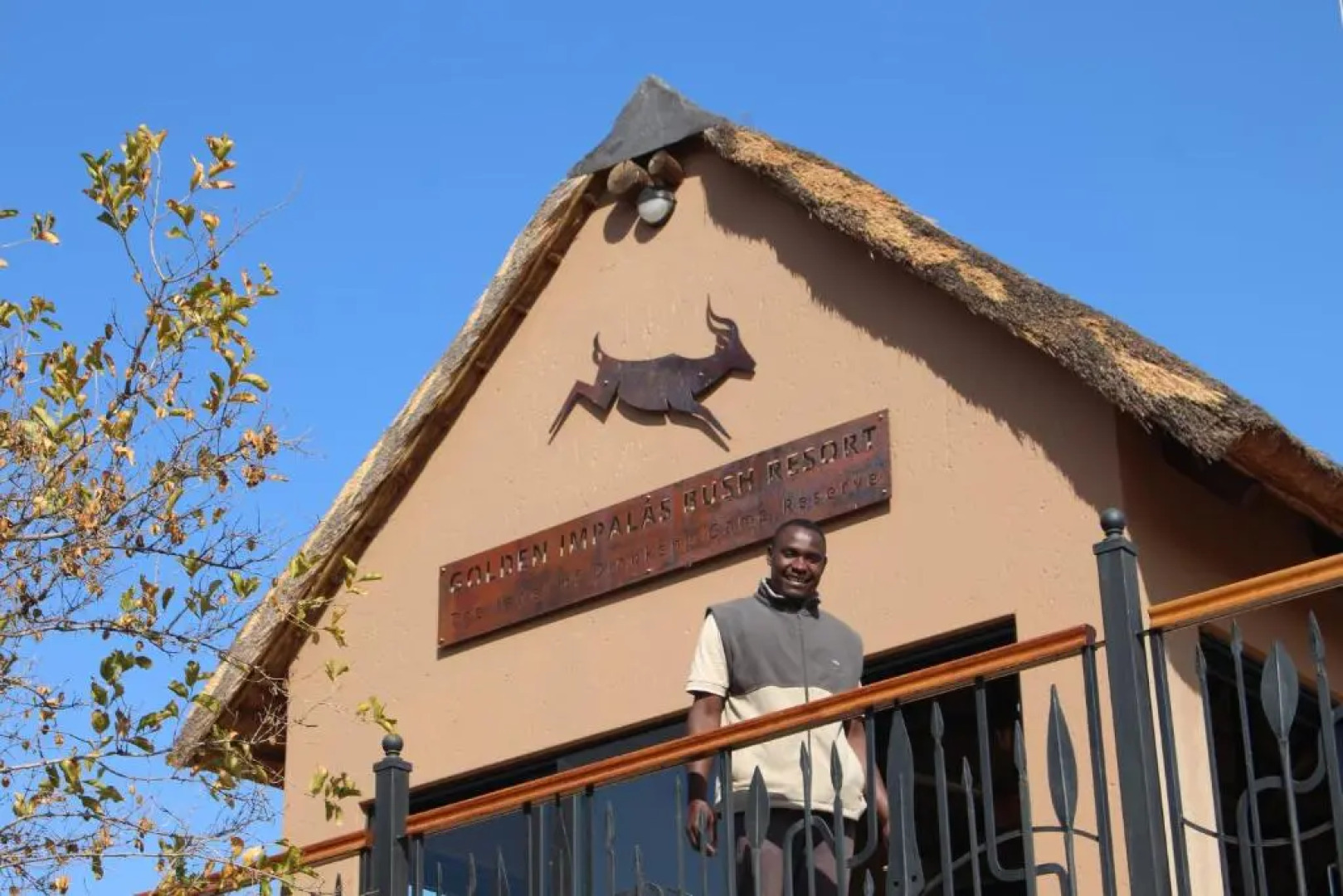 Golden Impalas Bush Resort