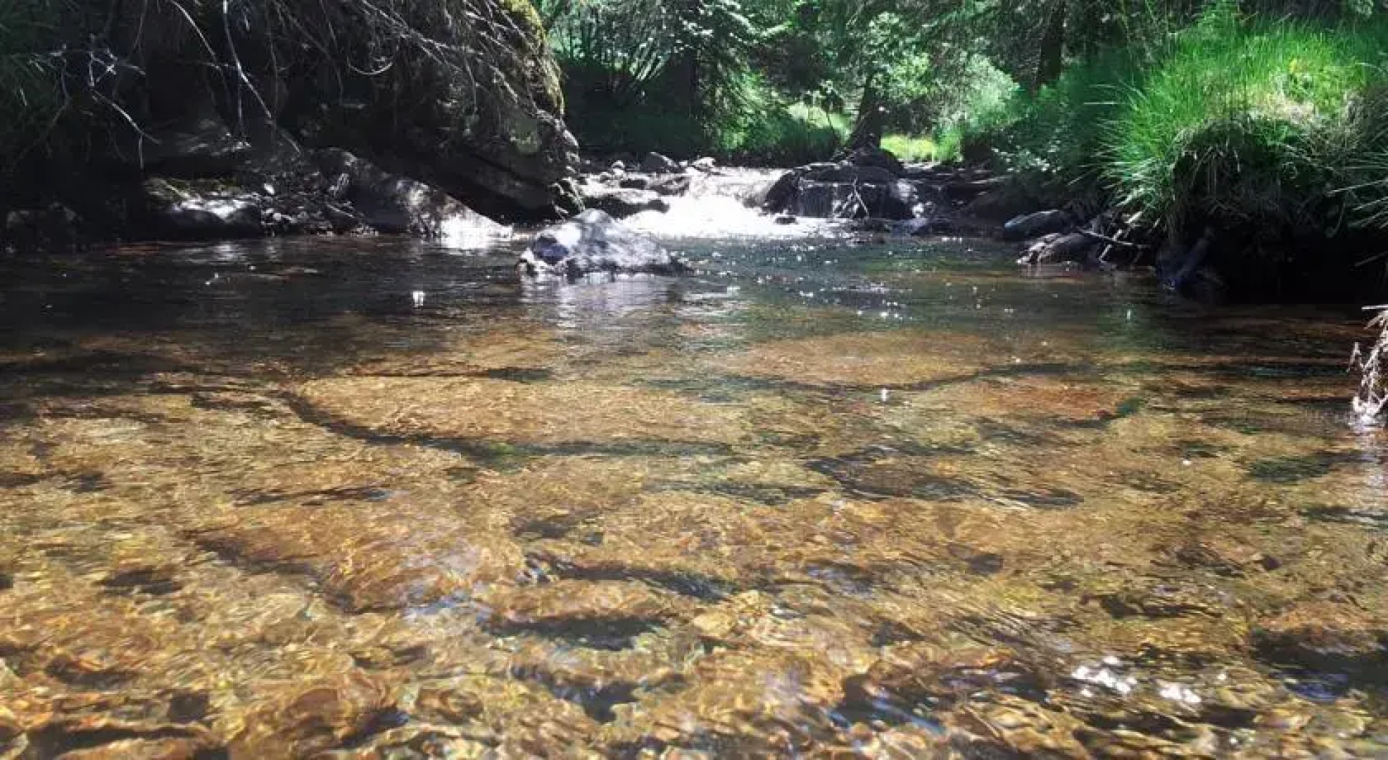 Gasthof-Pension Grübl