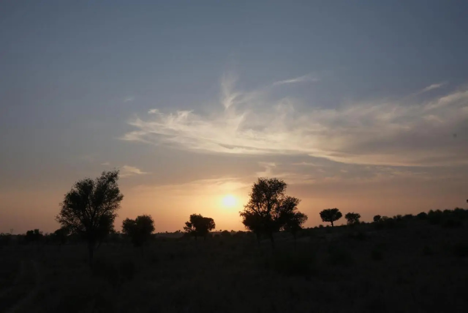 Kaner Retreat - India'S First Desert Botanical Resort