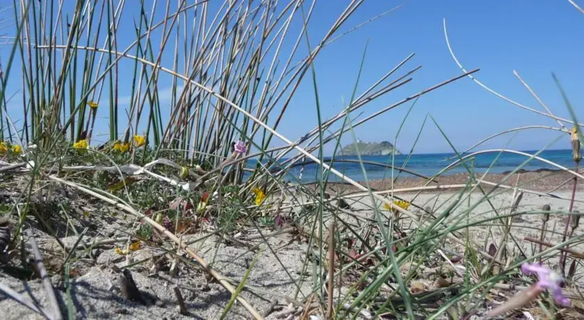 Casa A Rota Appartements