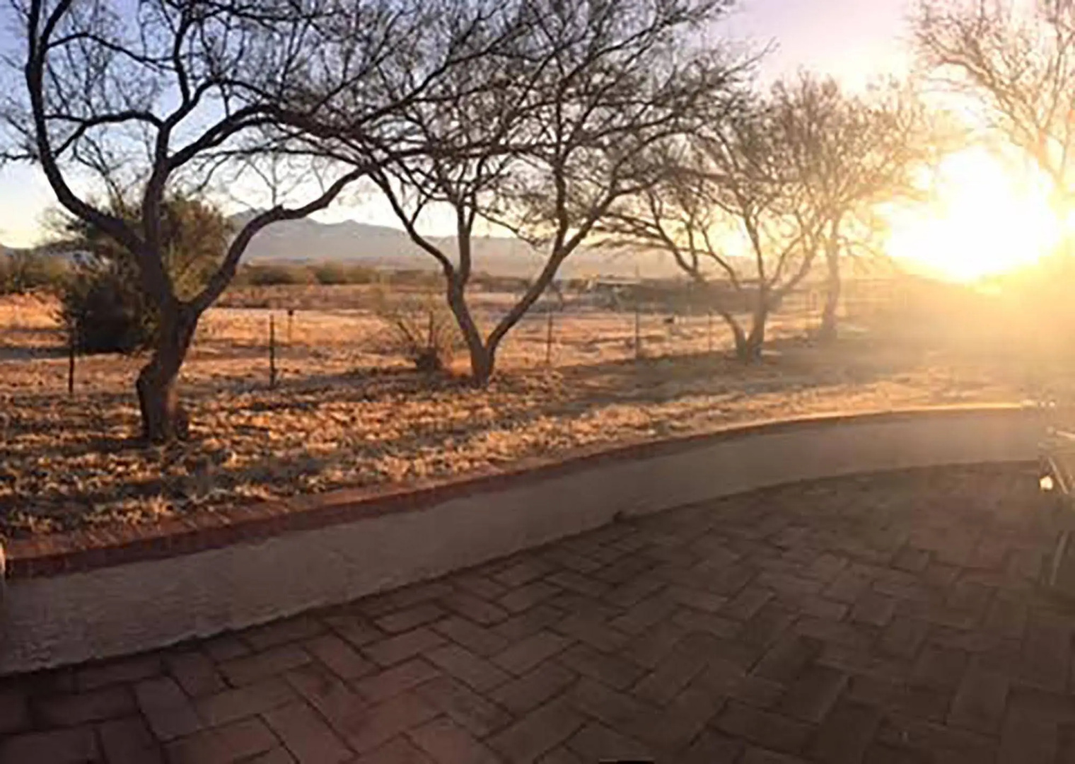 Freedom on the Go Ranch