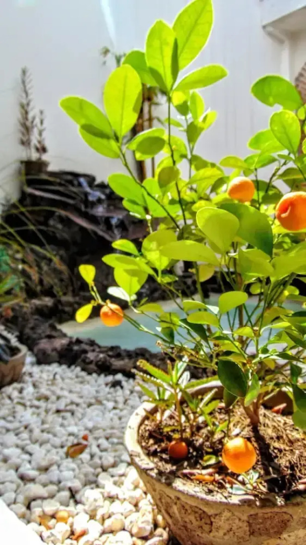 Aohom Santuario Hotel & Spa