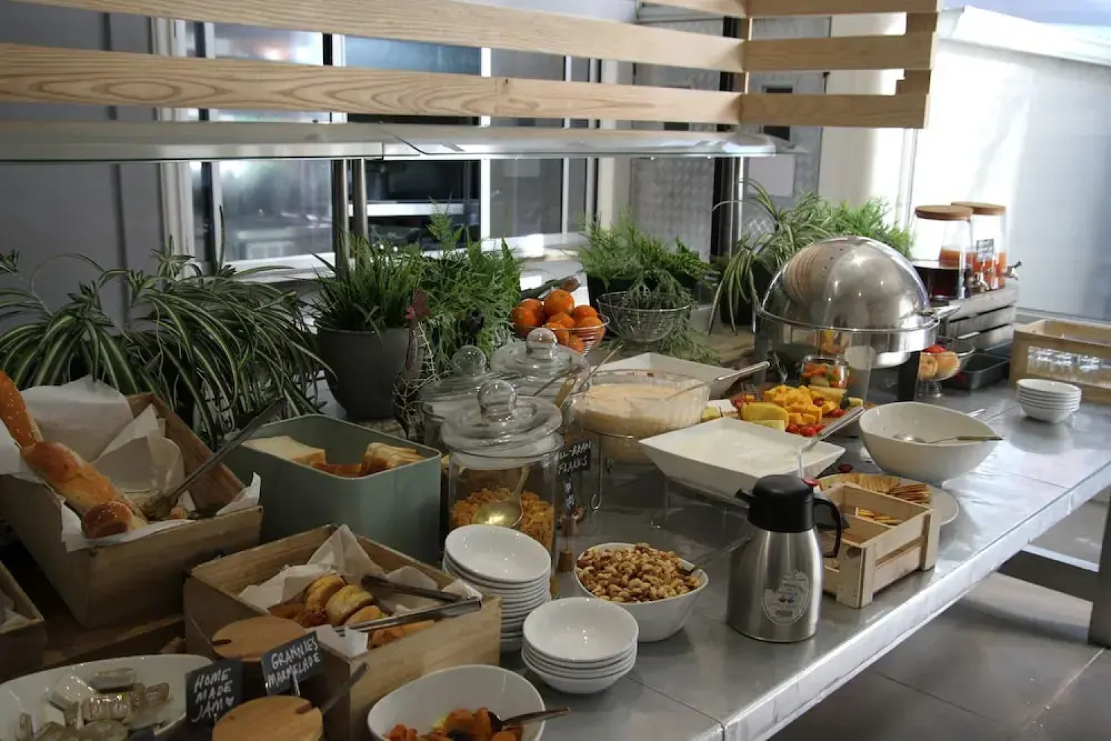 The Aviator OR Tambo