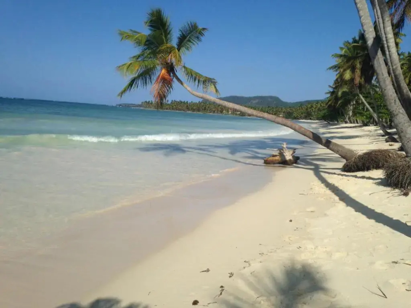 Casa Lilly B&B Cabarete