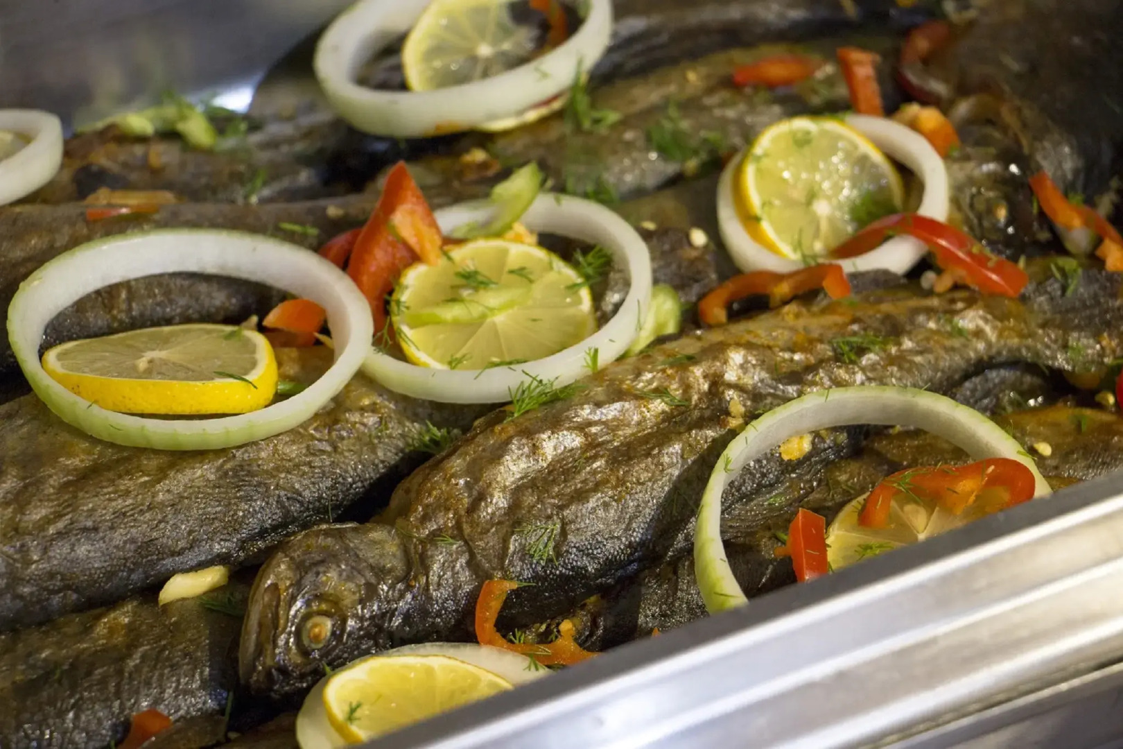 Casa Blanca Beach  - Adults Only