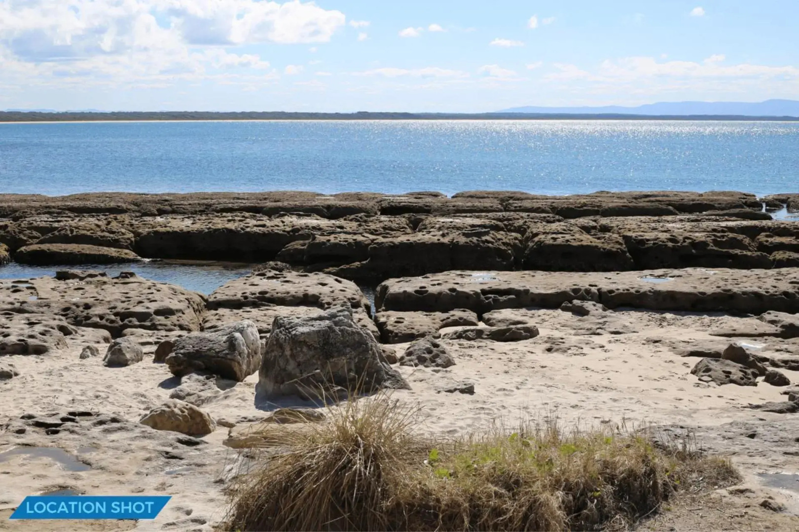 Nest - Pet Friendly - 2 Min Walk to Beach