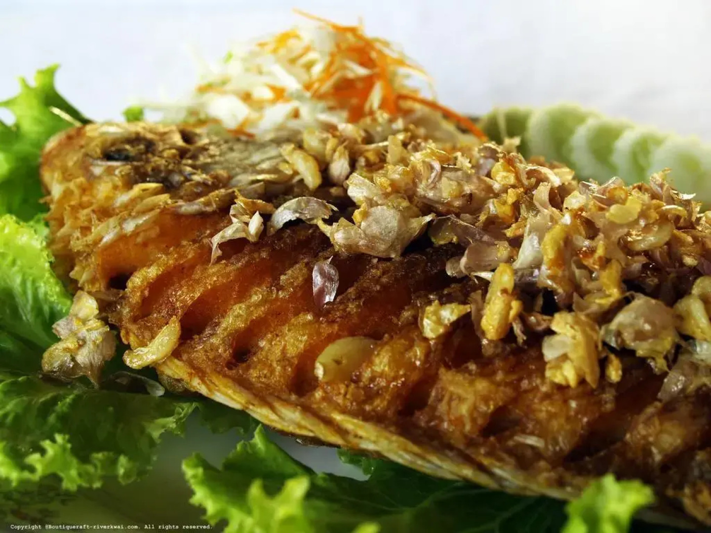 Boutique Raft Resort