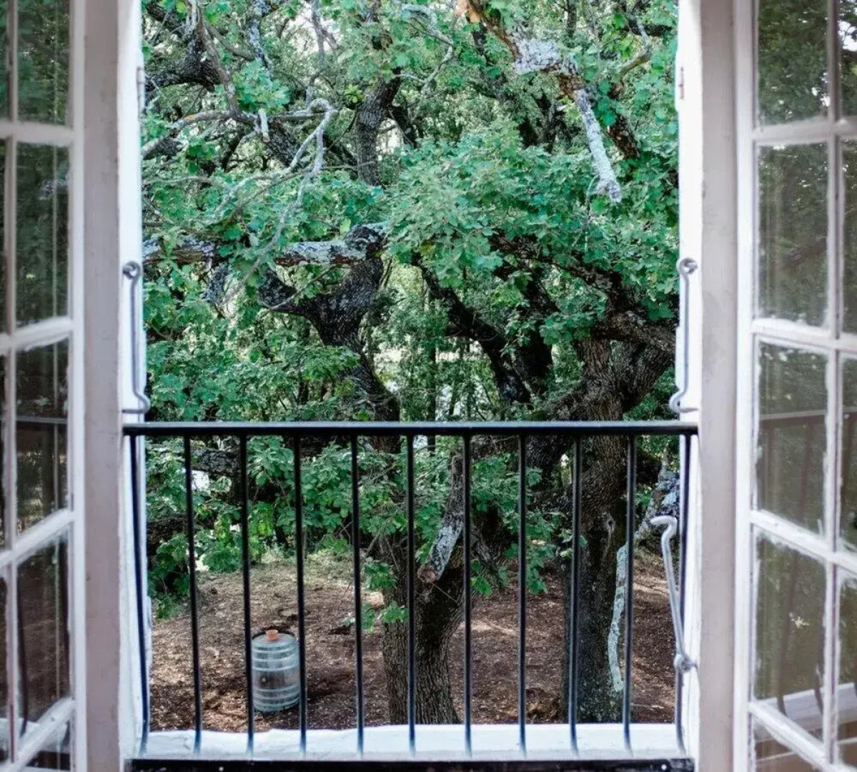 Château Saint-Esprit