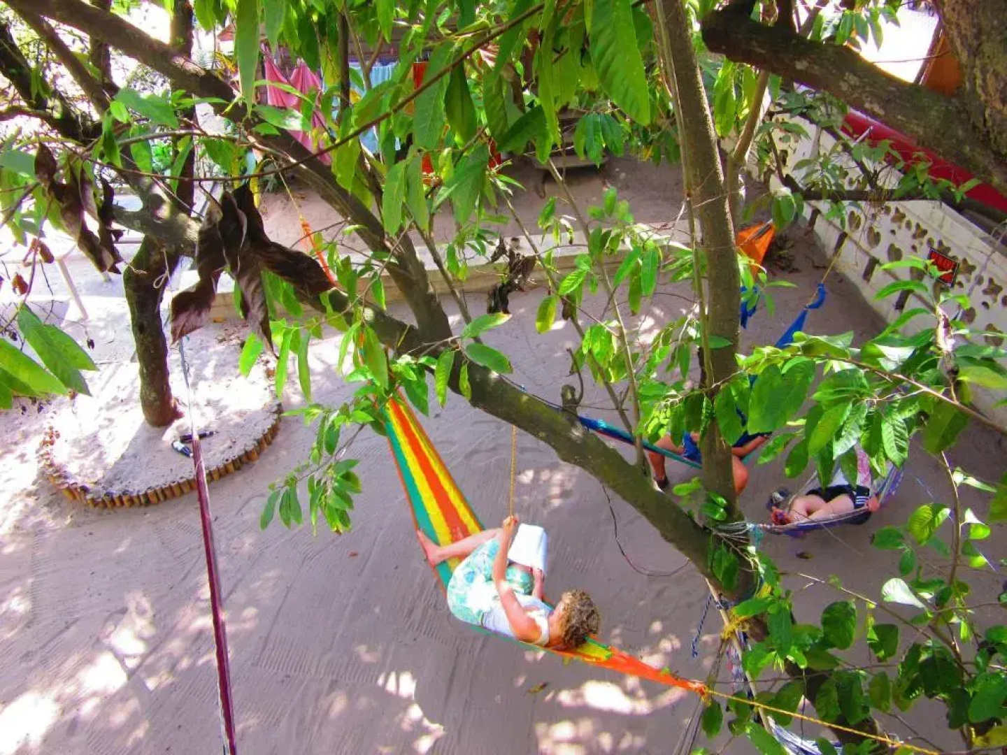 The Funky Dodo Backpackers Hostel