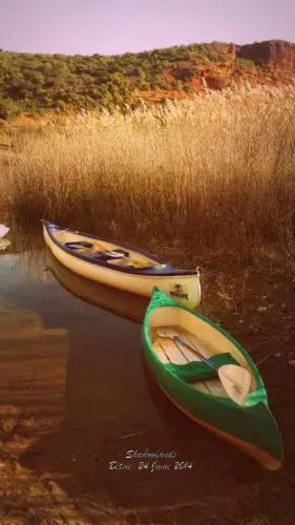 Shadowlands Guest Farm