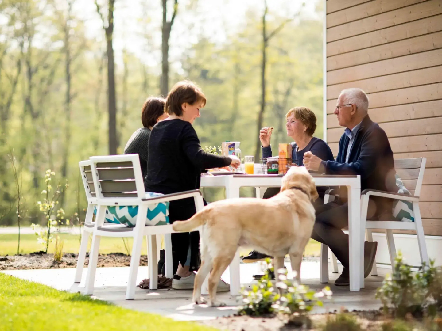 Nice chalet with outdoor sauna and spa, in a holiday park, near the Veluwe