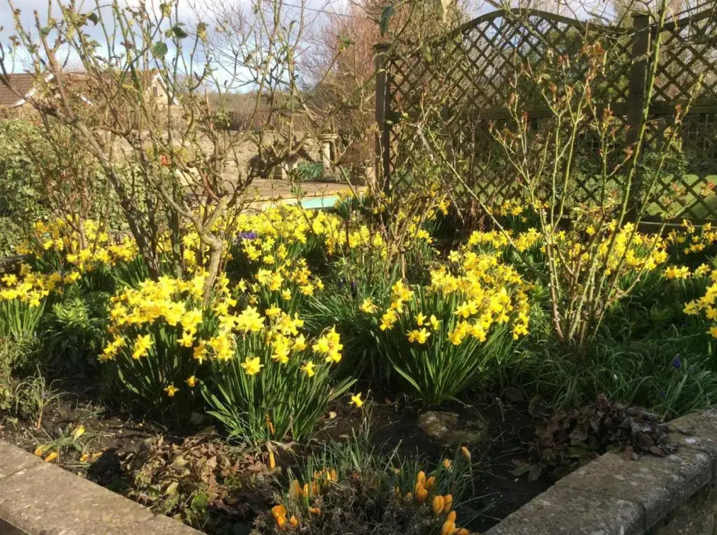 Quiet Woman House (отель для женщин)