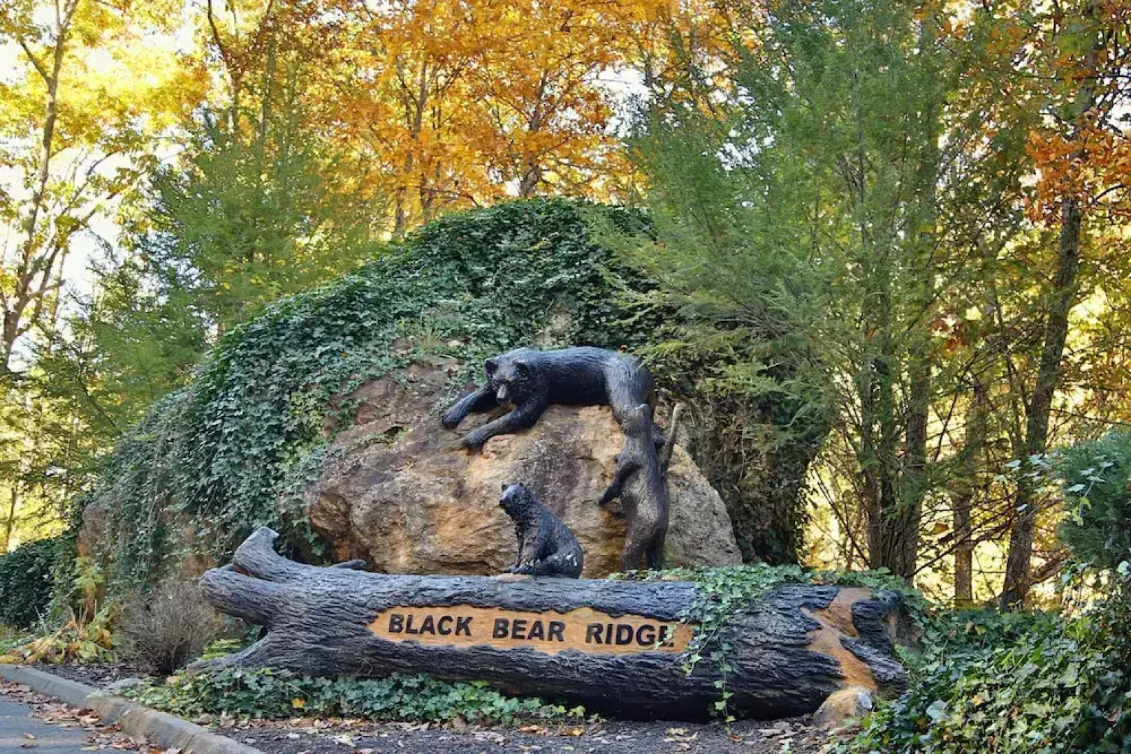 Rising Eagle Lodge by RedAwning