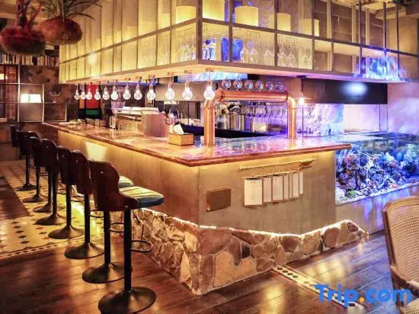 Ningbo The Study Resort