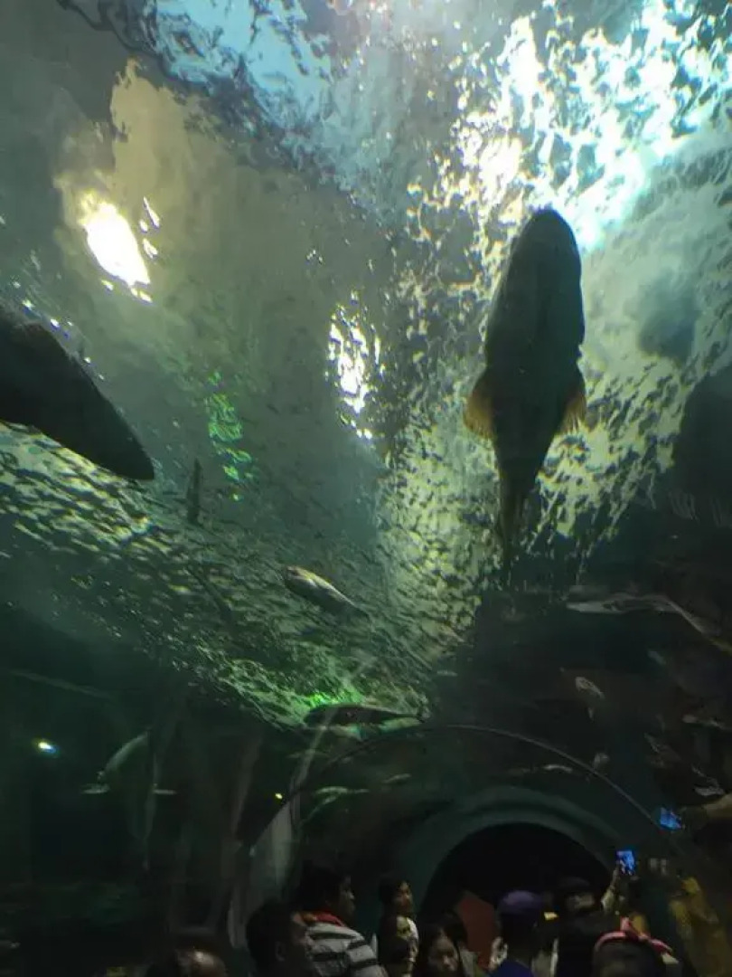 Blue Villa @Pinery Park Beach Rayong 2bdr Villa