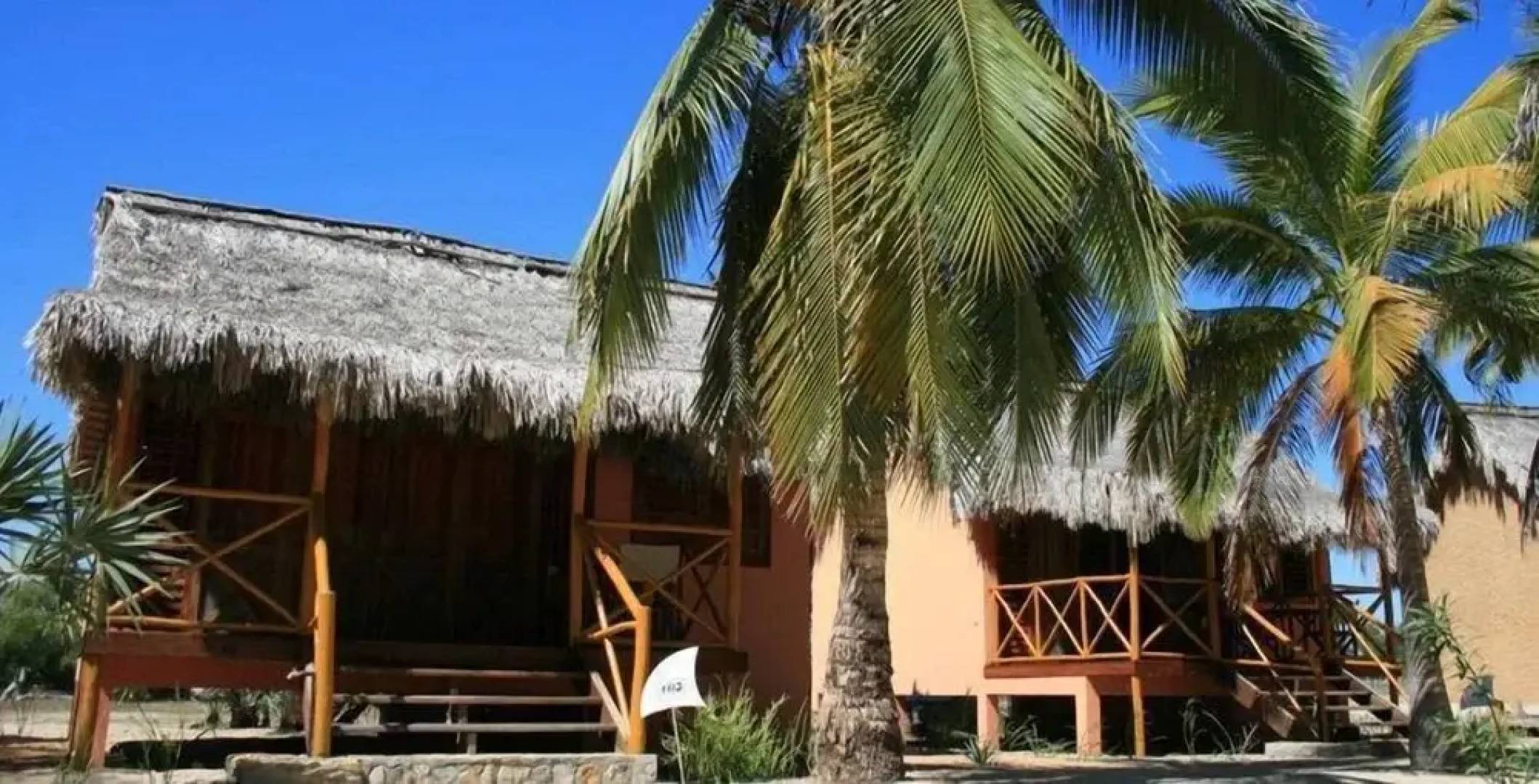 Palissandre Côte Ouest