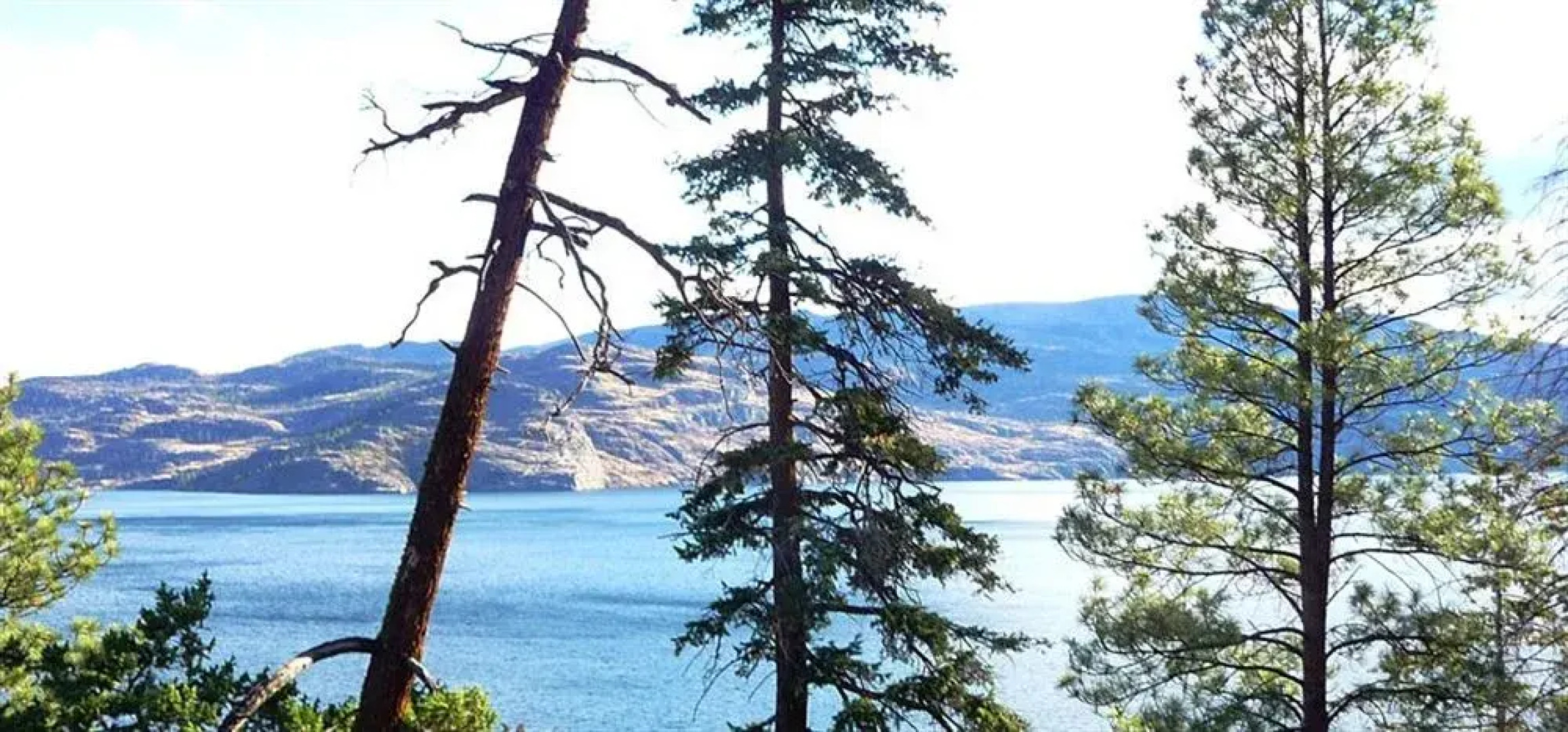 Pineacre on the Lake