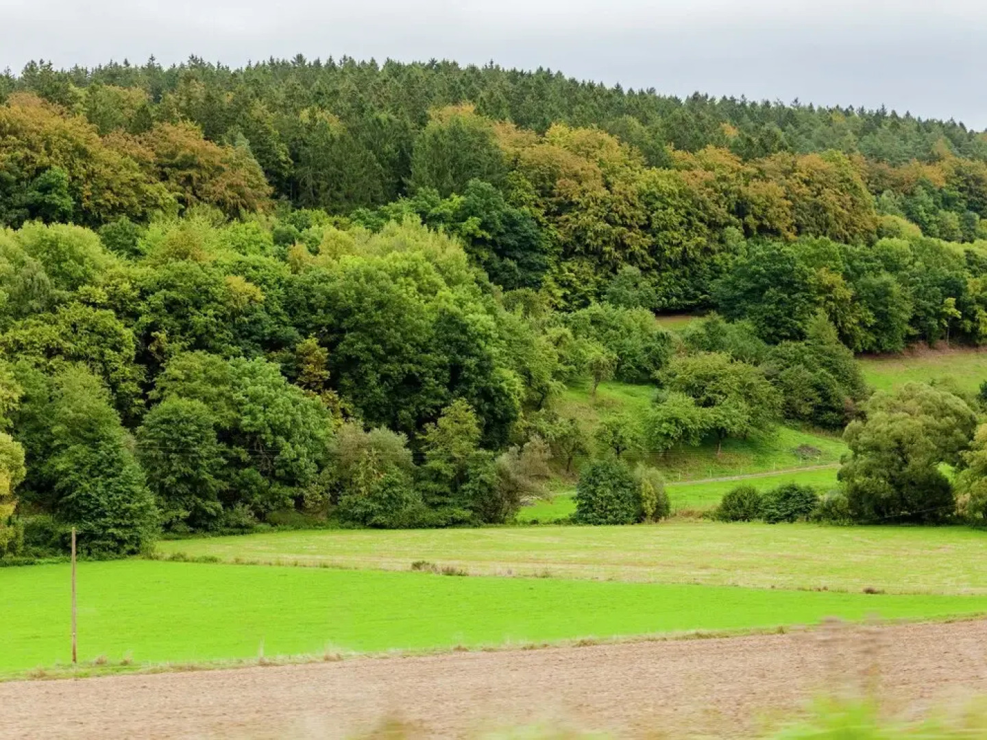 Luxurious Holiday Home in HÃ¼lsa Near Forest