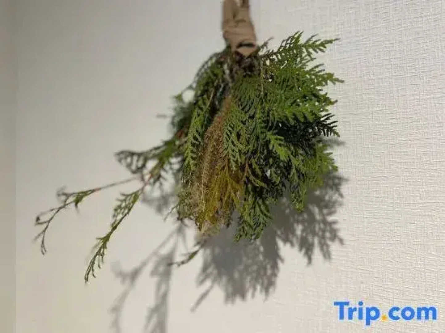 Whole House / 10 ppl/ 3 Parking /Free Wifi!