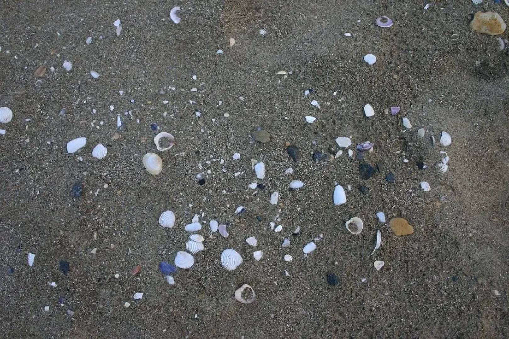 Cedar Cottages Blackmans Bay