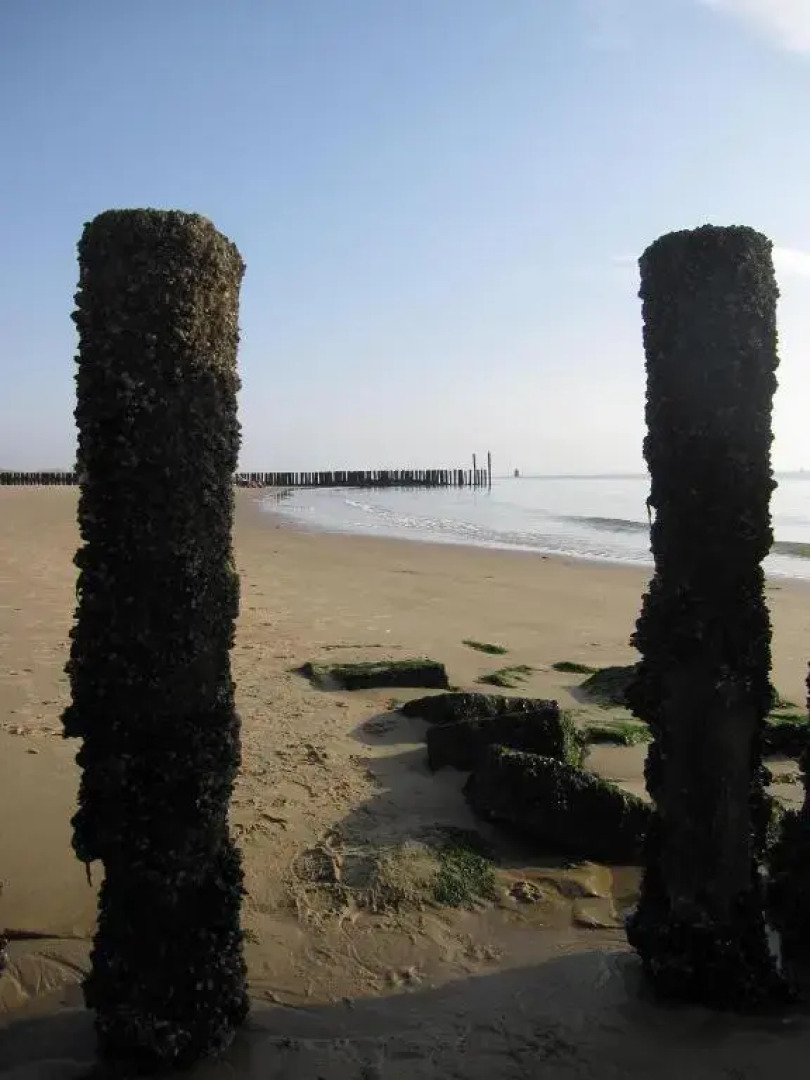 D'n Wasschappelsen Engel Windkracht 9 en Windkracht 10