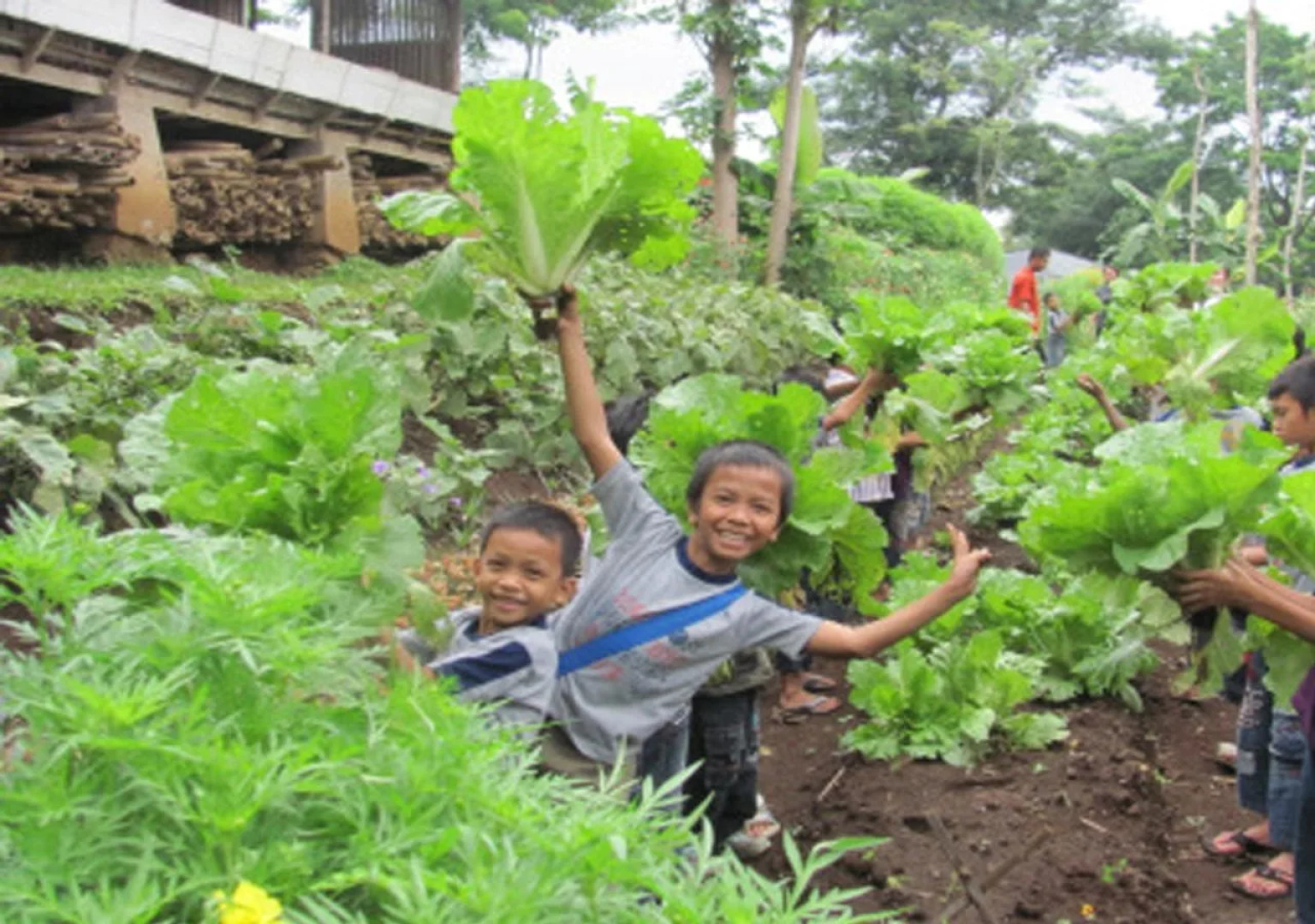 d'Emmerick Salib Putih Hotel Salatiga