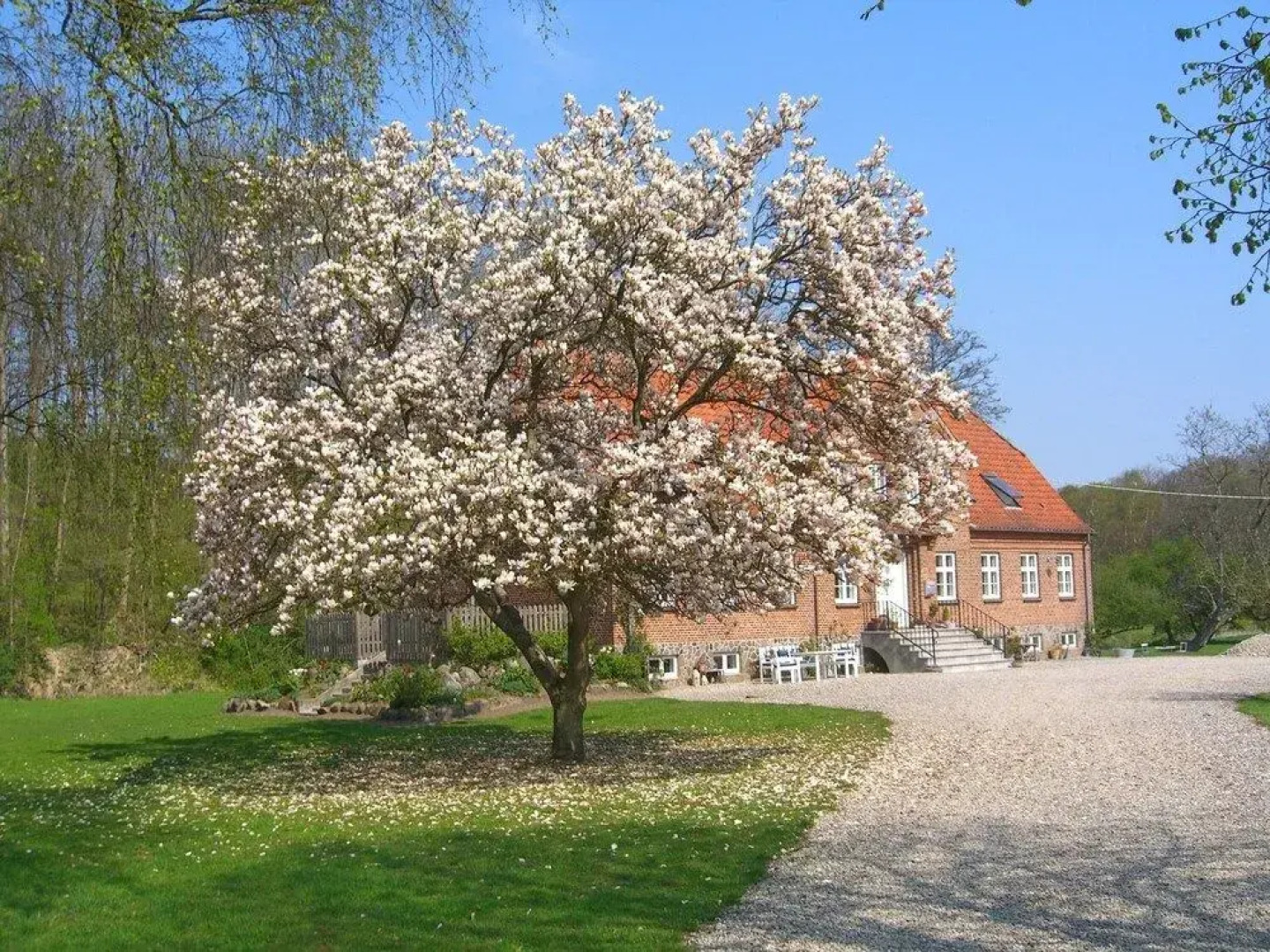 Æblegården Bed and breakfast