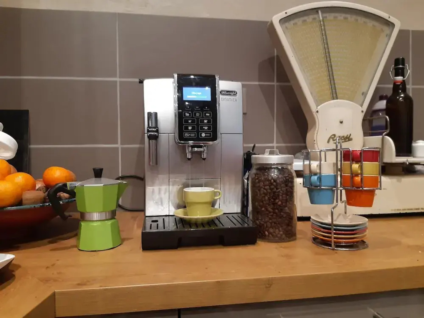 Maison du jardin botanique