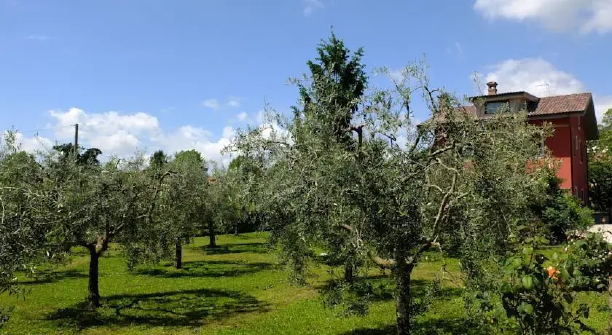 LUpupa B&B