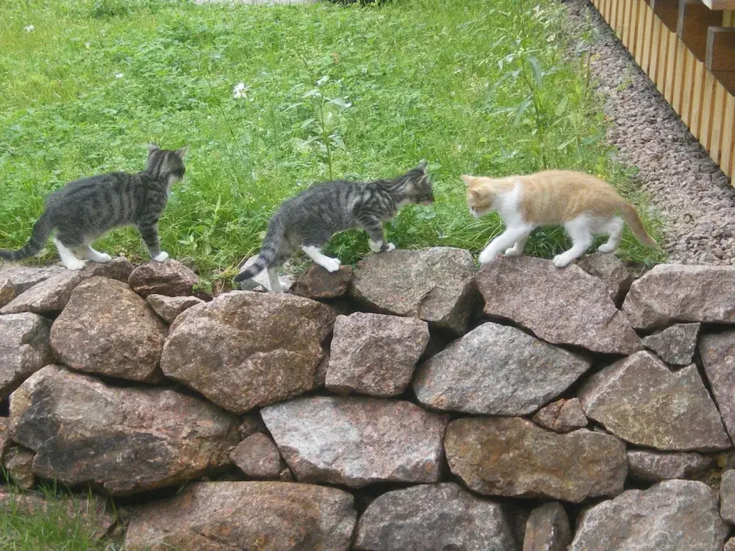 Ferienwohnung 2 Rasehorn