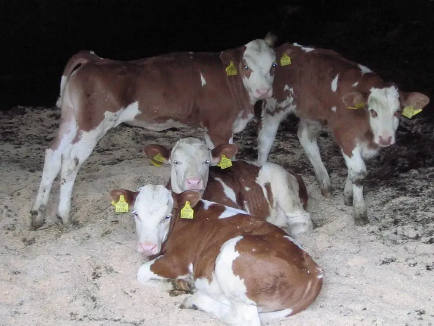 Wohlfühlhotel Innertalerhof