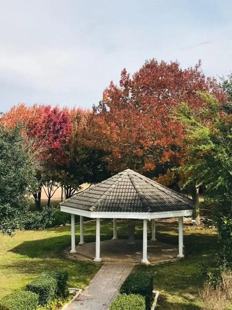 The Plantation House Boutique Inn