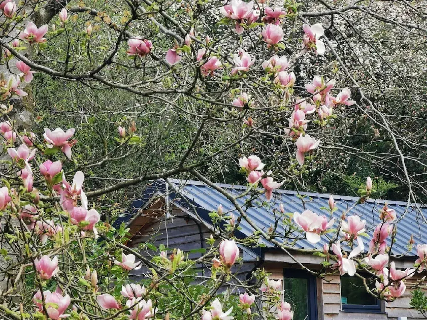 Countryside Cottage Retreat at Ty'r Cwm Farm
