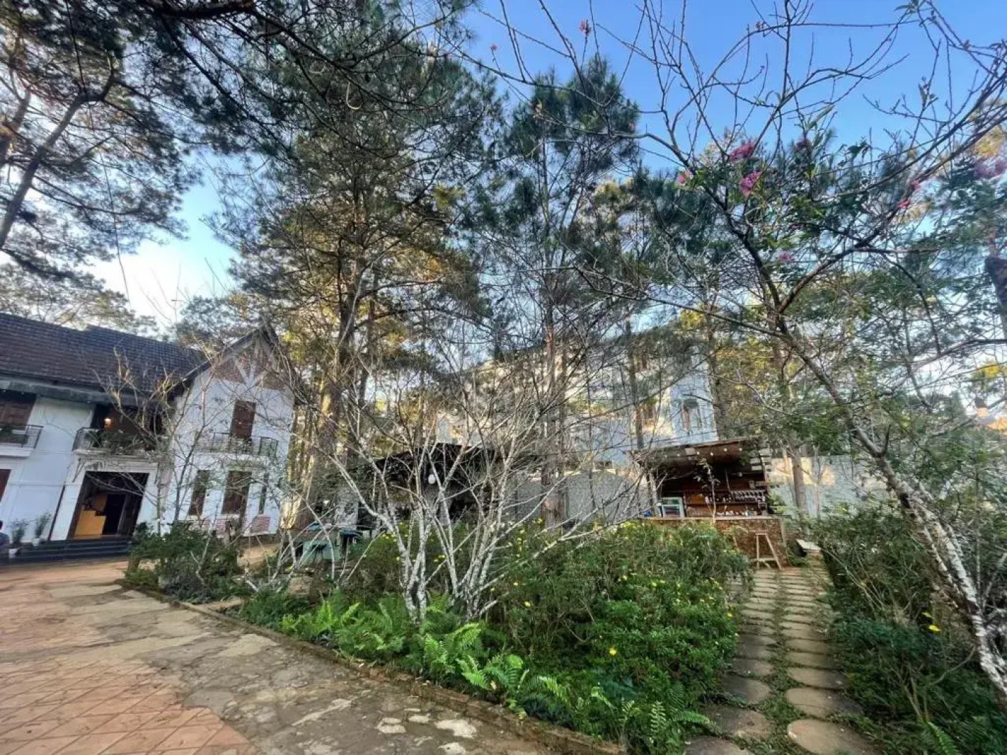 Chino Homestay Mang Den