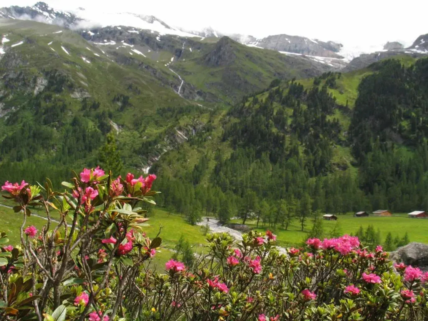 Ferienwohnungen Niederarnigerhof Familie Bauernfeind