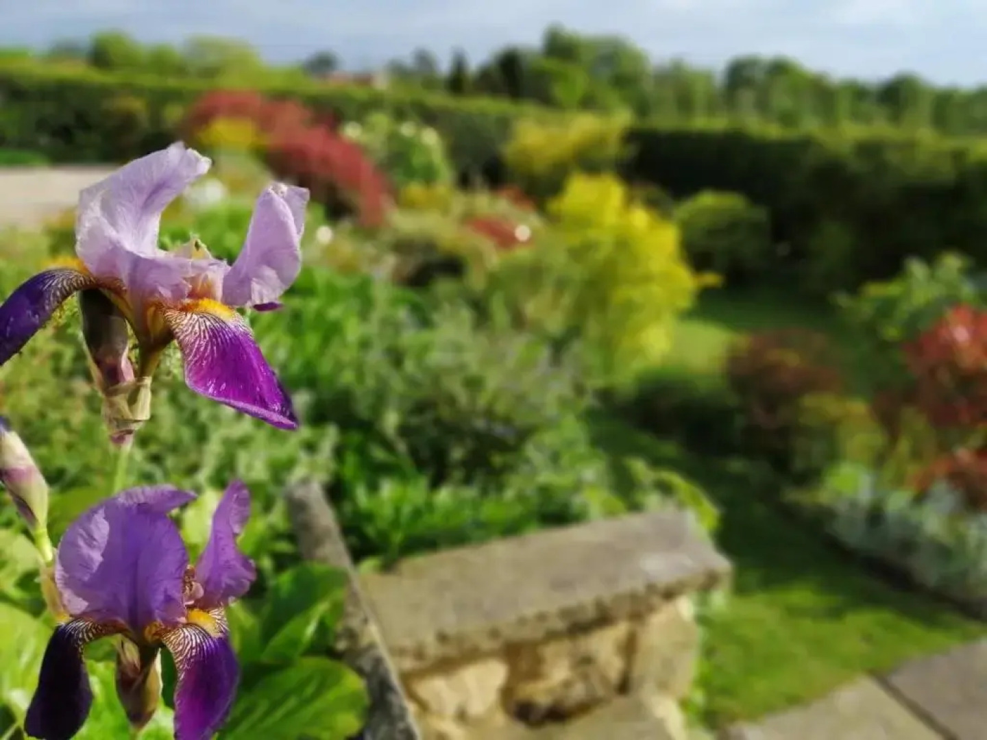 Meadow Cottage Bed & Breakfast