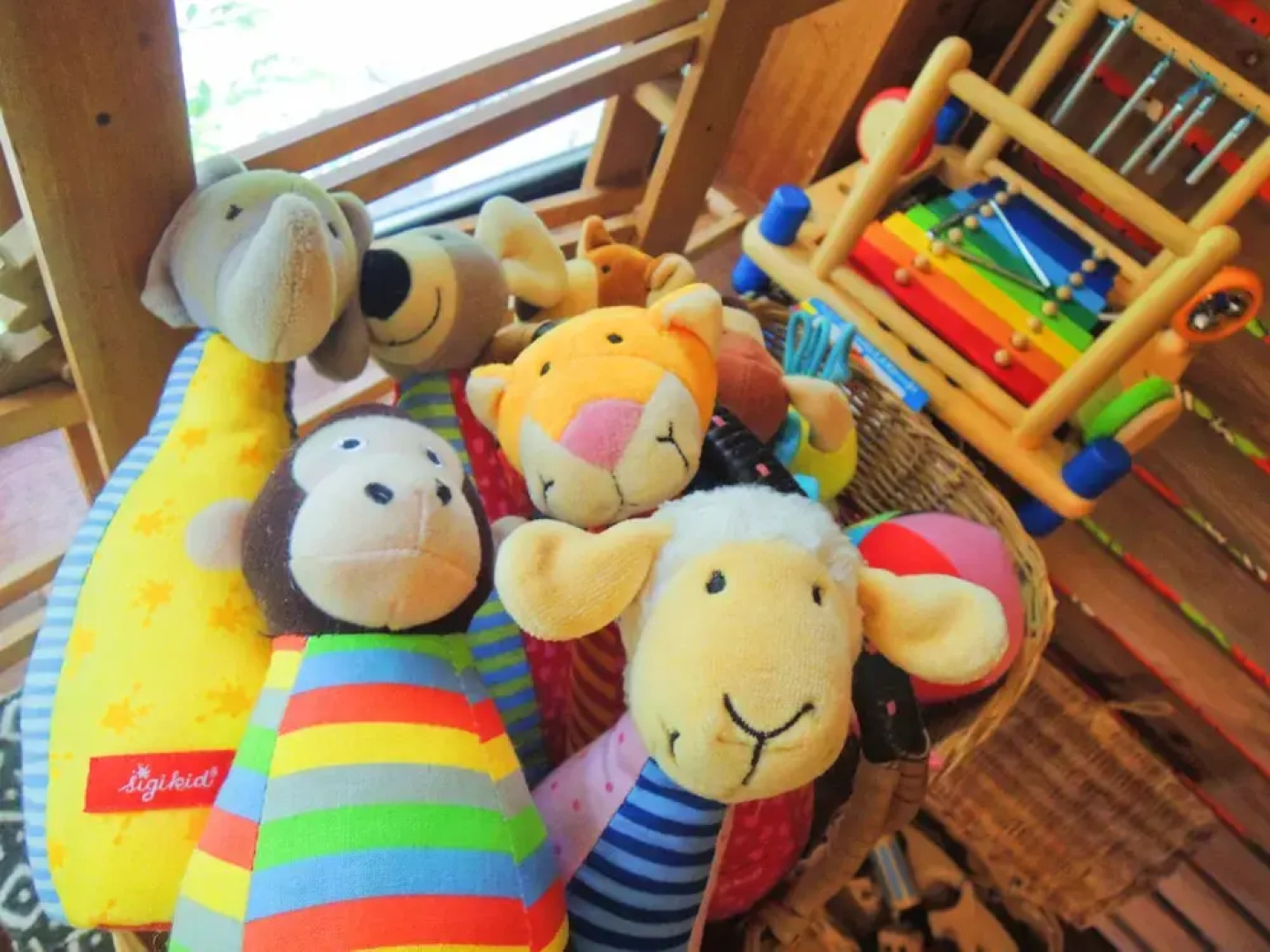 Minami no Yama no ie Cotenchi