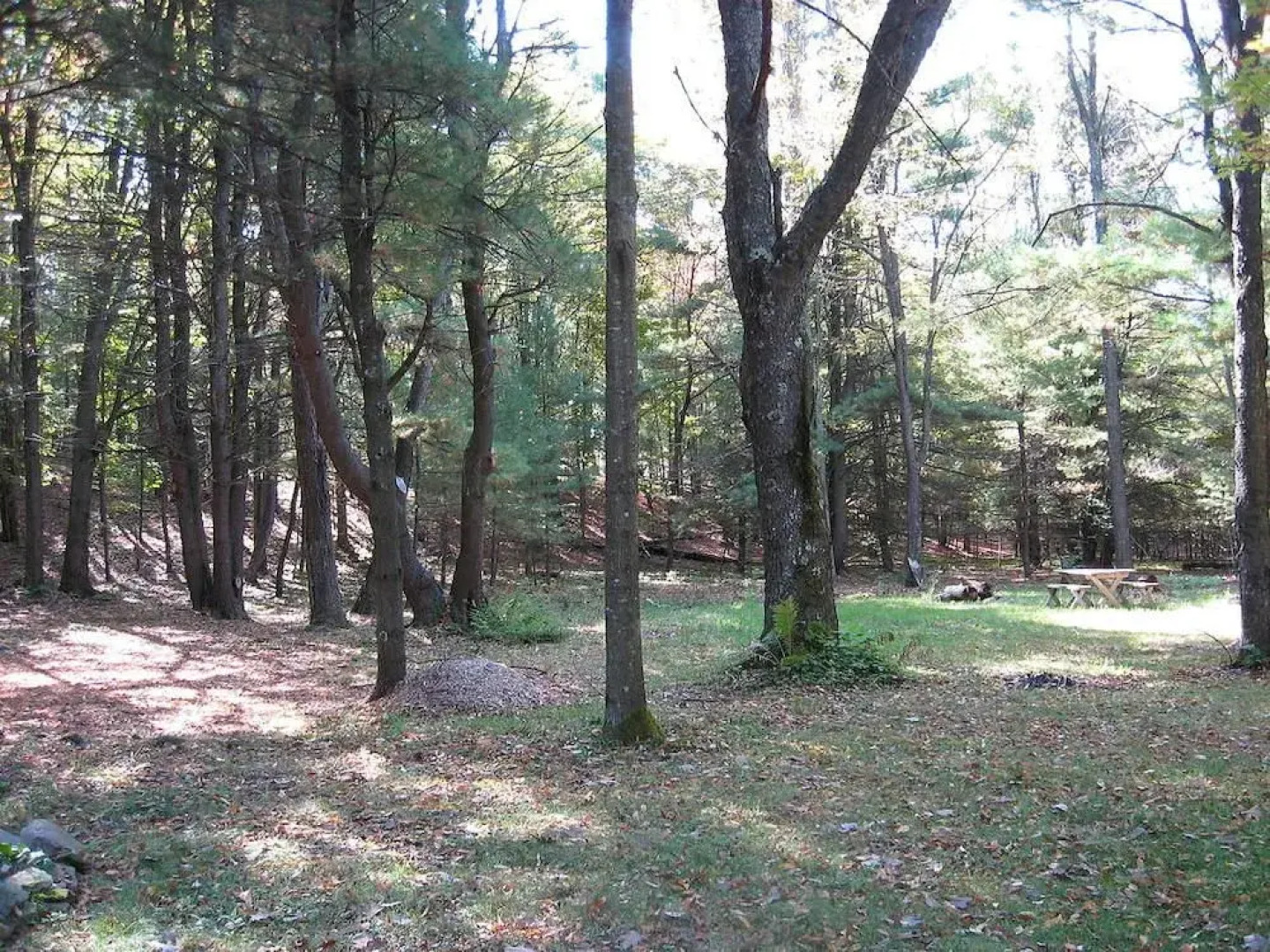 Beaver Valley Cabins And Campsites