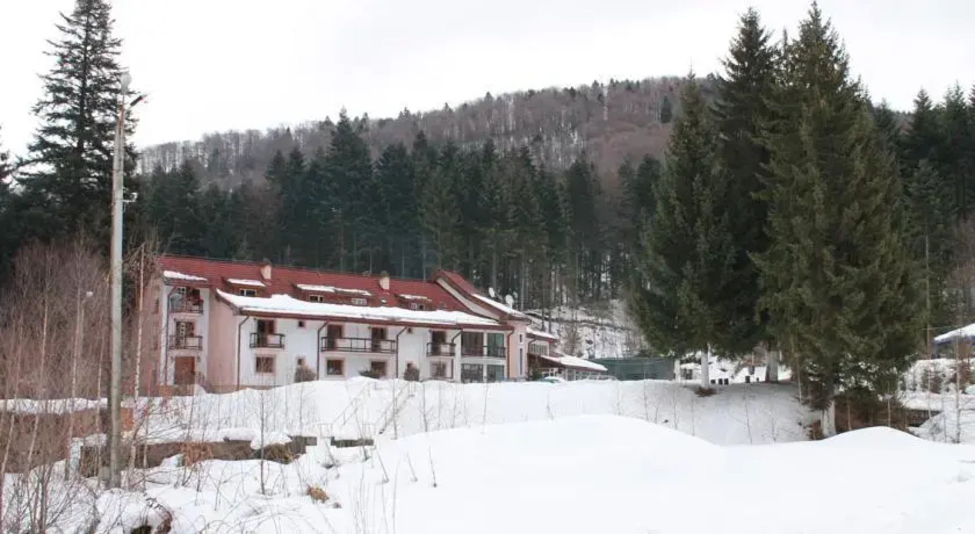 Pension Floarea Reginei