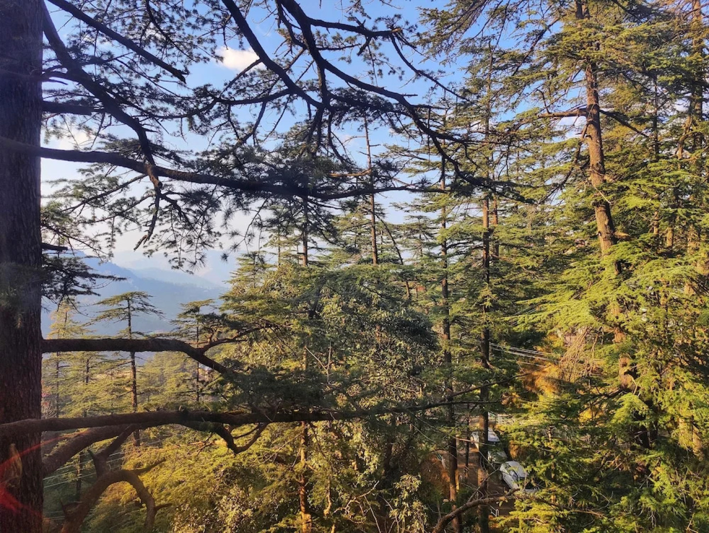 Royale Retreat Hotel & Spa Near Mall Road