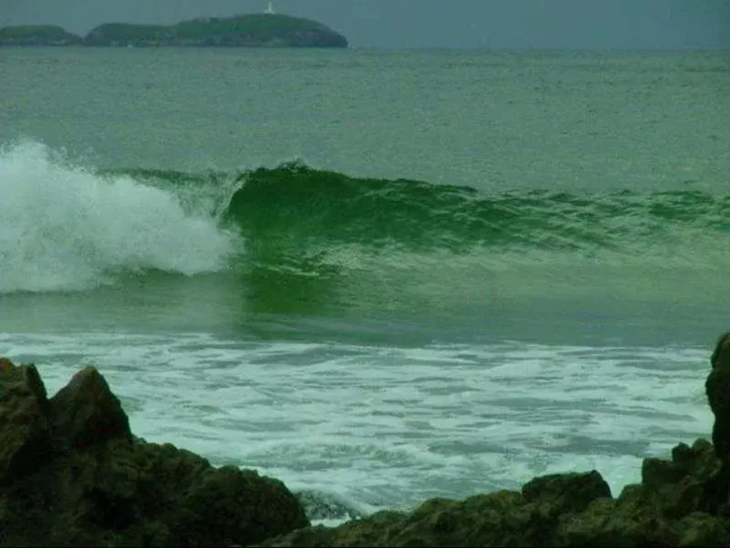 Emerald Tropical Palms B & B