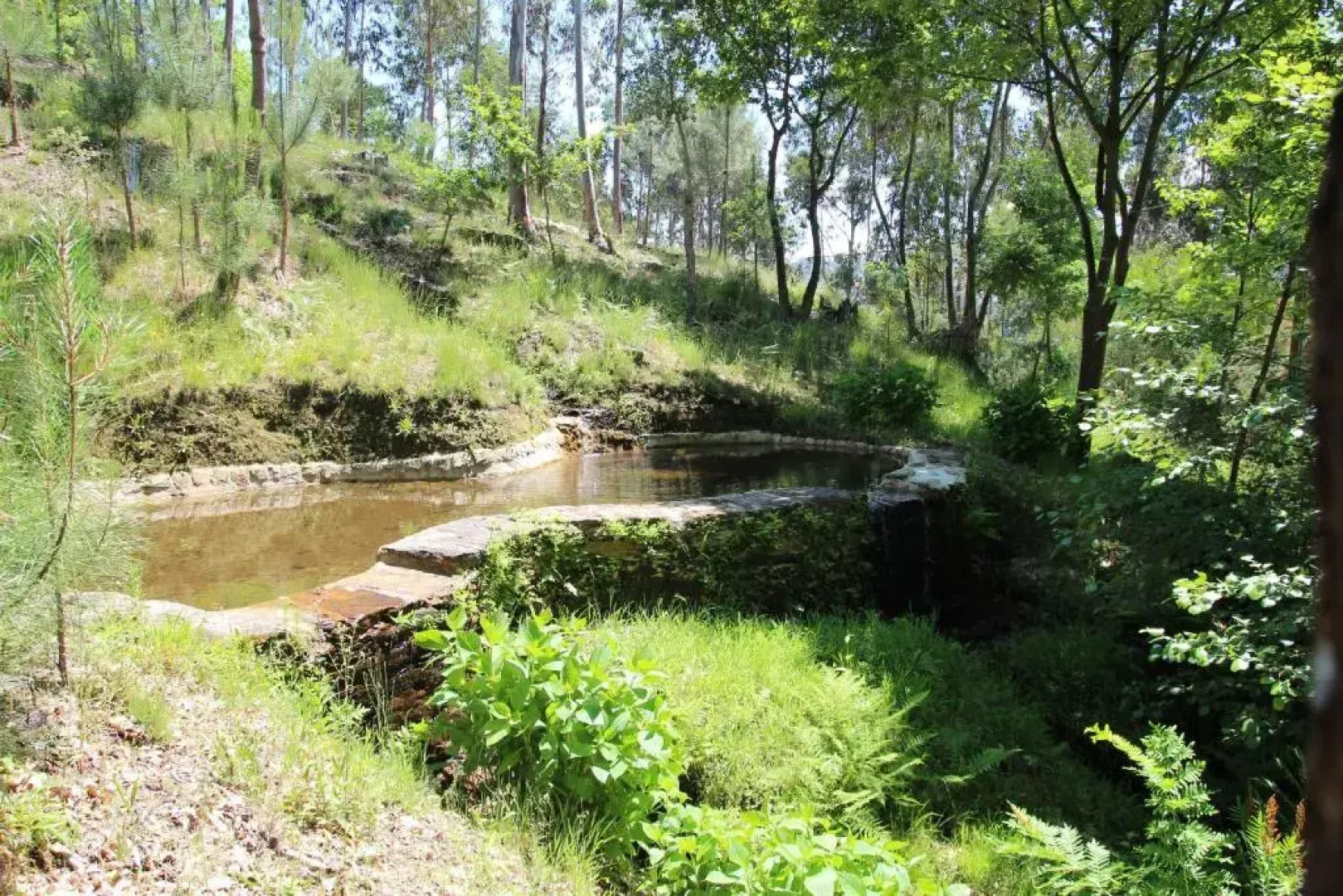 Tapada de São Domingos