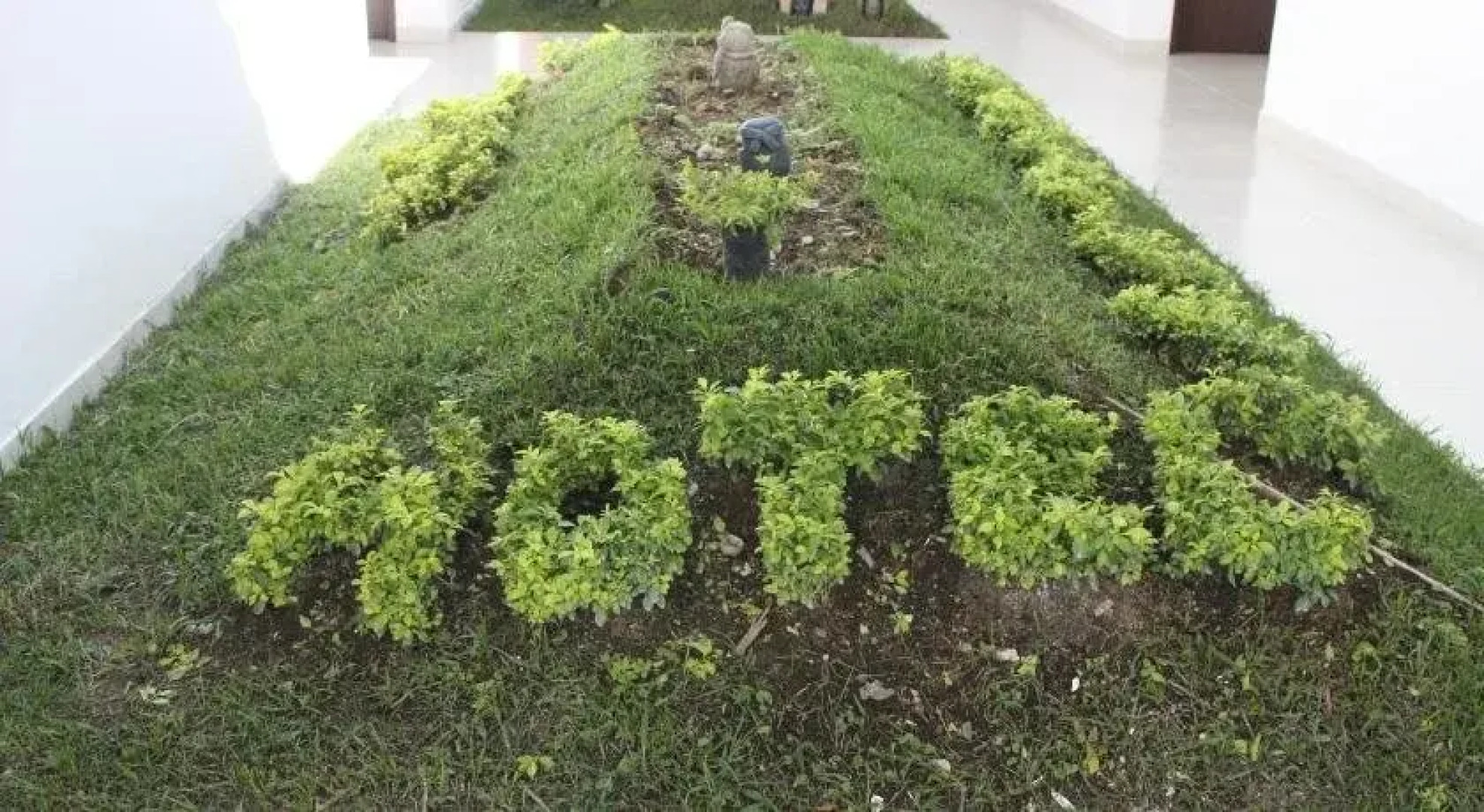 Hotel Las Piedras San Jose