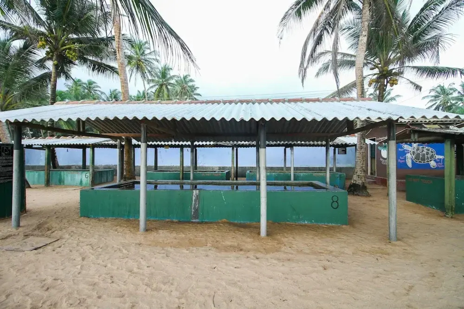 OYO 397 Sea Beach Inn