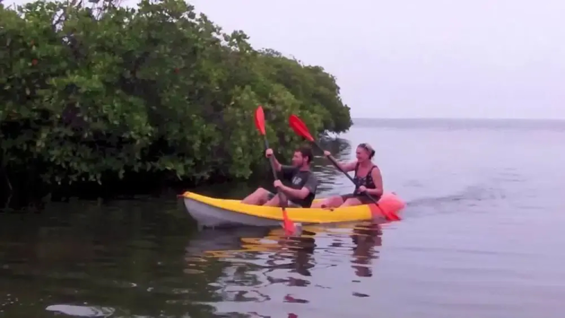 Wella Simbina Rella Kalpitiya