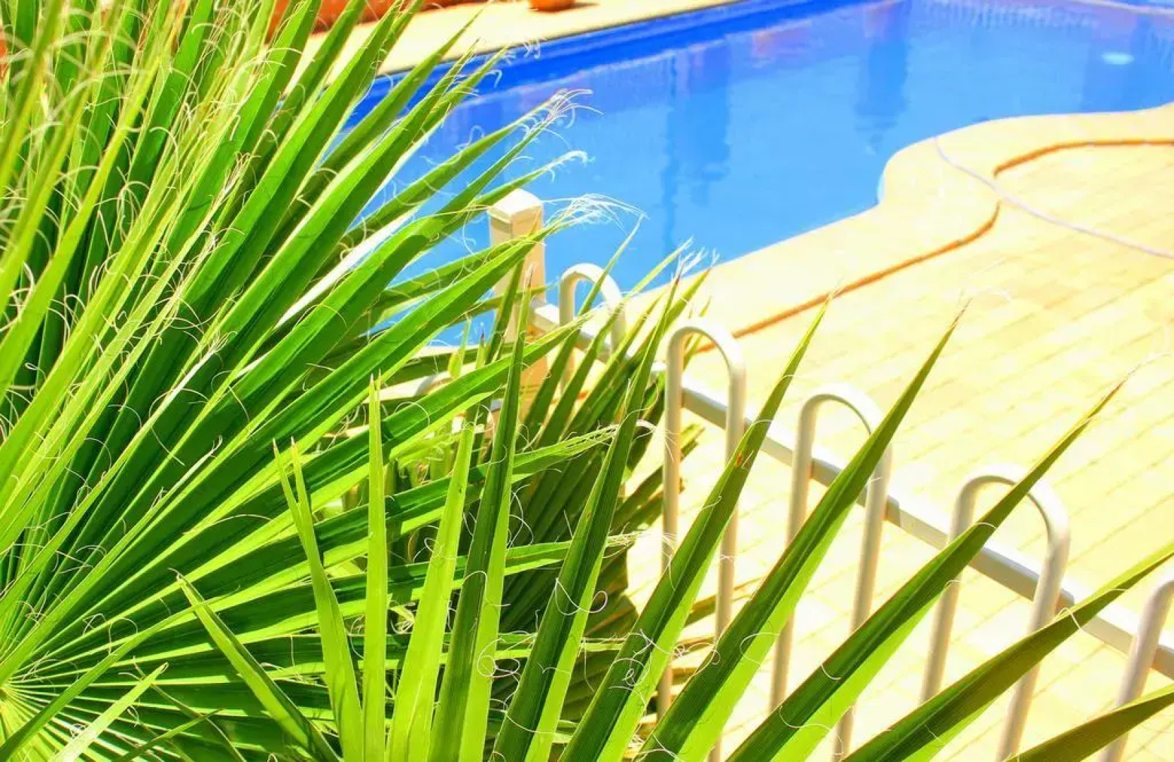 Roma Mid Town Motor Inn